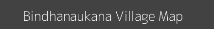 Bindhanaukana village map with survey numbers in Odisha Image