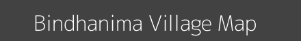 Bindhanima village map with survey numbers in Odisha Image