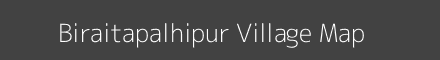 Biraitapalhipur village map with survey numbers in Uttar Pradesh Image