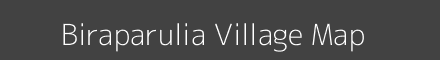 Map of Biraparulia Village in Odisha Image
