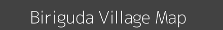 Biriguda village map with survey numbers in Odisha Image