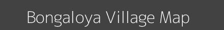 Bongaloya village map with survey numbers in Jharkhand Image