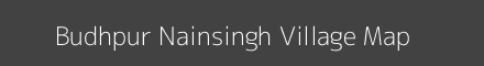 Budhpur Nainsingh village map with survey numbers in Uttar Pradesh Image