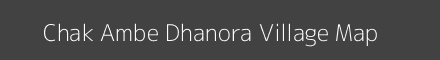 Chak Ambe Dhanora village map with survey numbers in Maharashtra Image