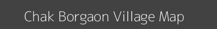 Chak Borgaon village map with survey numbers in Maharashtra Image