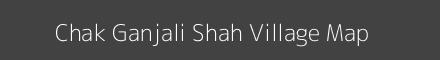 Chak Ganjali Shah village map with survey numbers in Uttar Pradesh Image