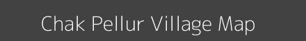 Chak Pellur village map with survey numbers in Maharashtra Image