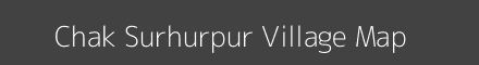 Chak Surhurpur village map with survey numbers in Uttar Pradesh Image