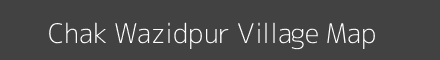 Chak Wazidpur village map with survey numbers in Uttar Pradesh Image