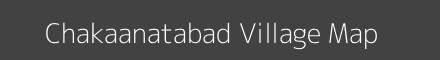 Chakaanatabad village map with survey numbers in Odisha Image