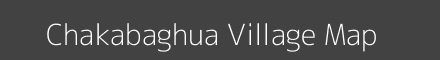 Chakabaghua village map with survey numbers in Odisha Image