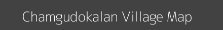 Chamgudokalan village map with survey numbers in Jharkhand Image