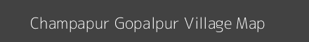 Champapur Gopalpur village map with survey numbers in Uttar Pradesh Image