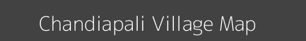 Chandiapali village map with survey numbers in Odisha Image