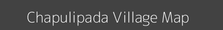 Chapulipada village map with survey numbers in Odisha Image