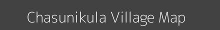 Chasunikula village map with survey numbers in Odisha Image