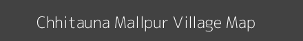 Chhitauna Mallpur village map with survey numbers in Uttar Pradesh Image