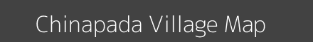 Chinapada village map with survey numbers in Odisha Image