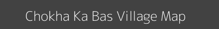 Chokha Ka Bas village map with survey numbers in Rajasthan Image