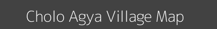 Cholo Agya village map with survey numbers in Arunachal Pradesh Image