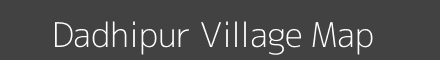 Dadhipur village map with survey numbers in Odisha Image