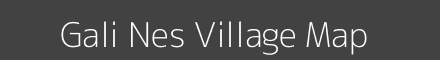Gali Nes village map with survey numbers in Gujarat Image