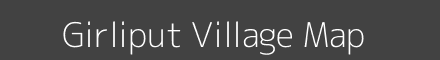 Girliput village map with survey numbers in Odisha Image