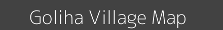 Goliha village map with survey numbers in Odisha Image