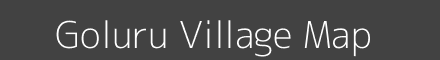 Goluru village map with survey numbers in Odisha Image