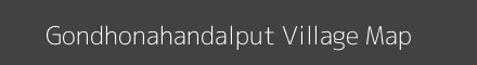 Gondhonahandalput village map with survey numbers in Odisha Image