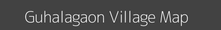 Guhalagaon village map with survey numbers in Odisha Image