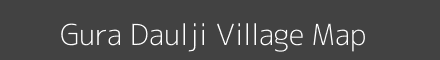 Gura Daulji village map with survey numbers in Rajasthan Image