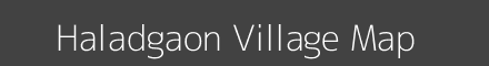Haladgaon village map with survey numbers in Maharashtra Image