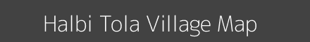 Halbi Tola village map with survey numbers in Maharashtra Image