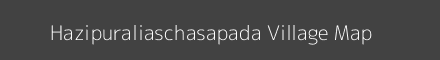 Map of Hazipuraliaschasapada Village in Odisha Image