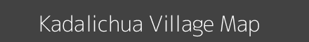 Kadalichua village map with survey numbers in Odisha Image