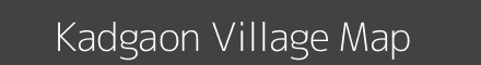 Kadgaon village map with survey numbers in Maharashtra Image