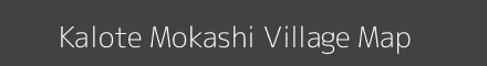 Kalote Mokashi village map with survey numbers in Maharashtra Image