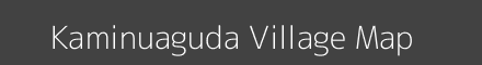 Kaminuaguda village map with survey numbers in Odisha Image