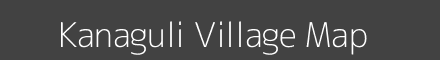 Kanaguli village map with survey numbers in Odisha Image