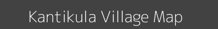 Kantikula village map with survey numbers in Odisha Image