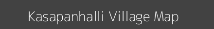Kasapanhalli village map with survey numbers in Karnataka Image