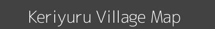 Keriyuru village map with survey numbers in Karnataka Image