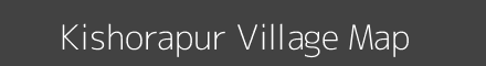 Kishorapur village map with survey numbers in Odisha Image