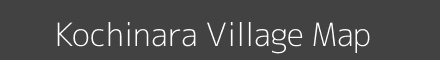 Kochinara village map with survey numbers in Maharashtra Image