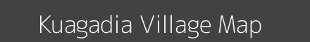 Kuagadia village map with survey numbers in Odisha Image