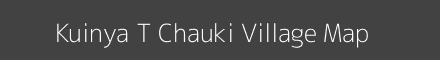 Kuinya T Chauki village map with survey numbers in Uttar Pradesh Image