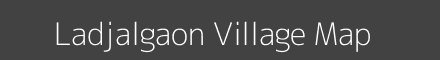 Ladjalgaon village map with survey numbers in Maharashtra Image