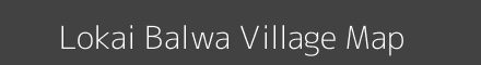 Lokai Balwa village map with survey numbers in Bihar Image