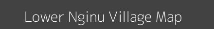 Lower Nginu village map with survey numbers in Arunachal Pradesh Image